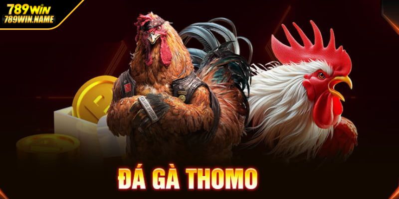 Đá gà Thomo 789WIN là gì