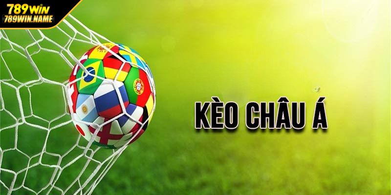 Tham khảo ý kiến chuyên gia