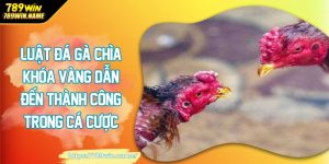 Luật đá gà