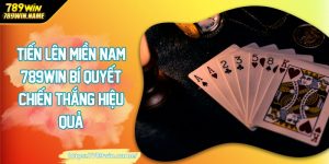 Tiến lleen miền nam